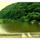 가평연리지 이미지