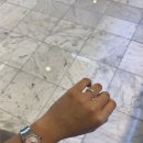 티쏘 | [TISSOT] 티쏘 PRX 쿼츠 25mm 자개 다이얼 후기