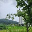 정천공인중개사사무소 이미지