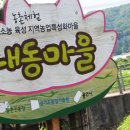 용인내동마을 연*** 이미지