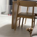 송동물병원 이미지