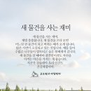 사는재미