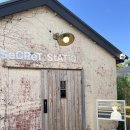 중앙로468번길69 | 제주여행선물 추천 [호두쿠루미] 서귀포 호두과자 빵지순례 후기