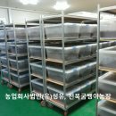꽃과정 이미지
