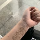 영란인의 밤 네이버블로그