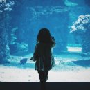 상어지 수변공원 네이버블로그