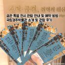 부산여자대학교 한국차박물관 | 국립경주박물관 신라금관 특별전시 예약방법 꿀팁 박물관 관람후기 금관전 굿즈