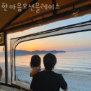 한마음 애견용품 | 태안펜션 한마음오션플레이스 태안갯벌 근처 태안숙소 위치 가격 서비스