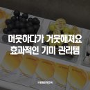메이크어딜리버리수원팔달점 | (신상품) 프리메라 비타 글루타치온 기미 앰플 겔 마스크 | 겉기미 고민 많은 40대 피부를 위한 집중 톤...