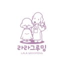 수레로1176 이미지