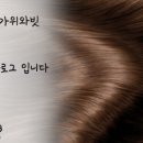 김박사면옥 이미지