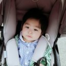 꼬기9.2 네이버블로그
