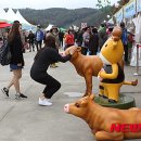 우리한우 이미지