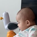 한양재활의학과의원 | 5개월 아기 사두증 단두증 두상교정헬멧 맞춘 후기, 쑥쑥재활의학과의원 진단서 (1부)