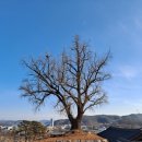 청아루 | 청양여행(靑陽旅行) - 10. 정산향교(定山鄕校)를 만나다.