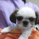 마린시티 종합동물병원 이미지