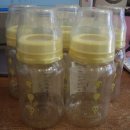 베이비루니툰 이미지