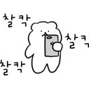 오아시스 자동차 케어센터 이미지