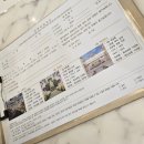 아이리스카페 - 파주시 | 2-1. 27년 2월 예식 명동 라루체 아이리스홀 계약 후기(였지만 홀 변경)/웨딩홀 투어-feat.제이웨딩