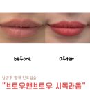 203 | 남양주 별내 시목라움 브로우앤브로우 립틴트 후기｜자연스럽게 또렷해진 입술