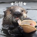 싱크대닷컴 이미지