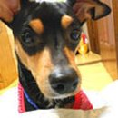 석관동6 이미지