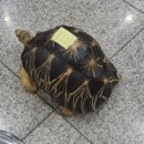 땅끝해양 자연사박물관 이미지