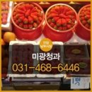 미광청과 이미지