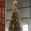 보돌미역원주중앙점 | 원주 보돌미역 원주중앙점 혼밥 가능한 세브란스 맛집