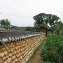 주천1리 | 영월 살아보기(귀농형 3개월) - 68일차