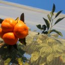 봉정농장 이미지