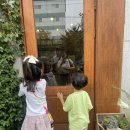 낙하리 | [파주 아이와 가볼만한곳] 감성 가득 드로잉 카페, 낙하리 화실 후기