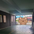 윤동균한방쑥면본점 이미지