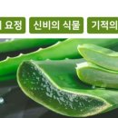 마임(동부지사) 이미지