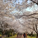 유일모텔 이미지