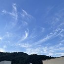 보니하니 | 서울 근교 가평 독채펜션 [보니하니 애견펜션] 솔직후기