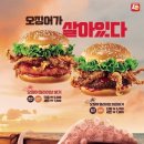 불타는오징어