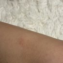 패밀리 덴탈 | 건성고보습바디로션, 온가족이 안심하고 사용하는 몽디에스