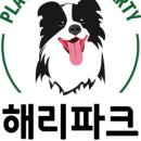 해리애견 이미지