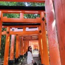 빨간여우 | 교토 가볼만한 곳, 교토 여우사원 후시미 이나리 신사 방문후기