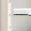 펫갤러리 이미지