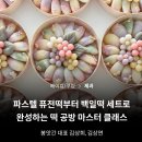 박샘플라워 | 온라인클래스 콜로소 - 기다리던 봉앗간 수강 후기! (추석베이킹박스 만들기!)