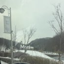 북면406 | 천안 아이와 글램핑 추천 몽키 캠핑장