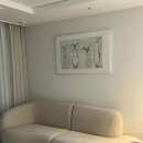 시세이 - 해운대구 센텀중앙로 60 | 시세이 모아르 3인 스위트형 후기(see,say)