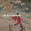 문수사 주차장 | 충남 서산 문수사 겹벚꽃 지금이 절정! 주말 방문 후기 (+ 포토존, 주차, 화장실)