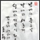 날마다좋은날 티스토리