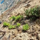 뉴설악펜션 이미지