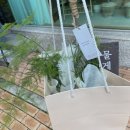 플레져가든 이미지