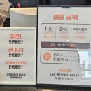 13번째고양이 이미지