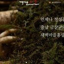 홍삼마을 - 북구 | 홍삼마을